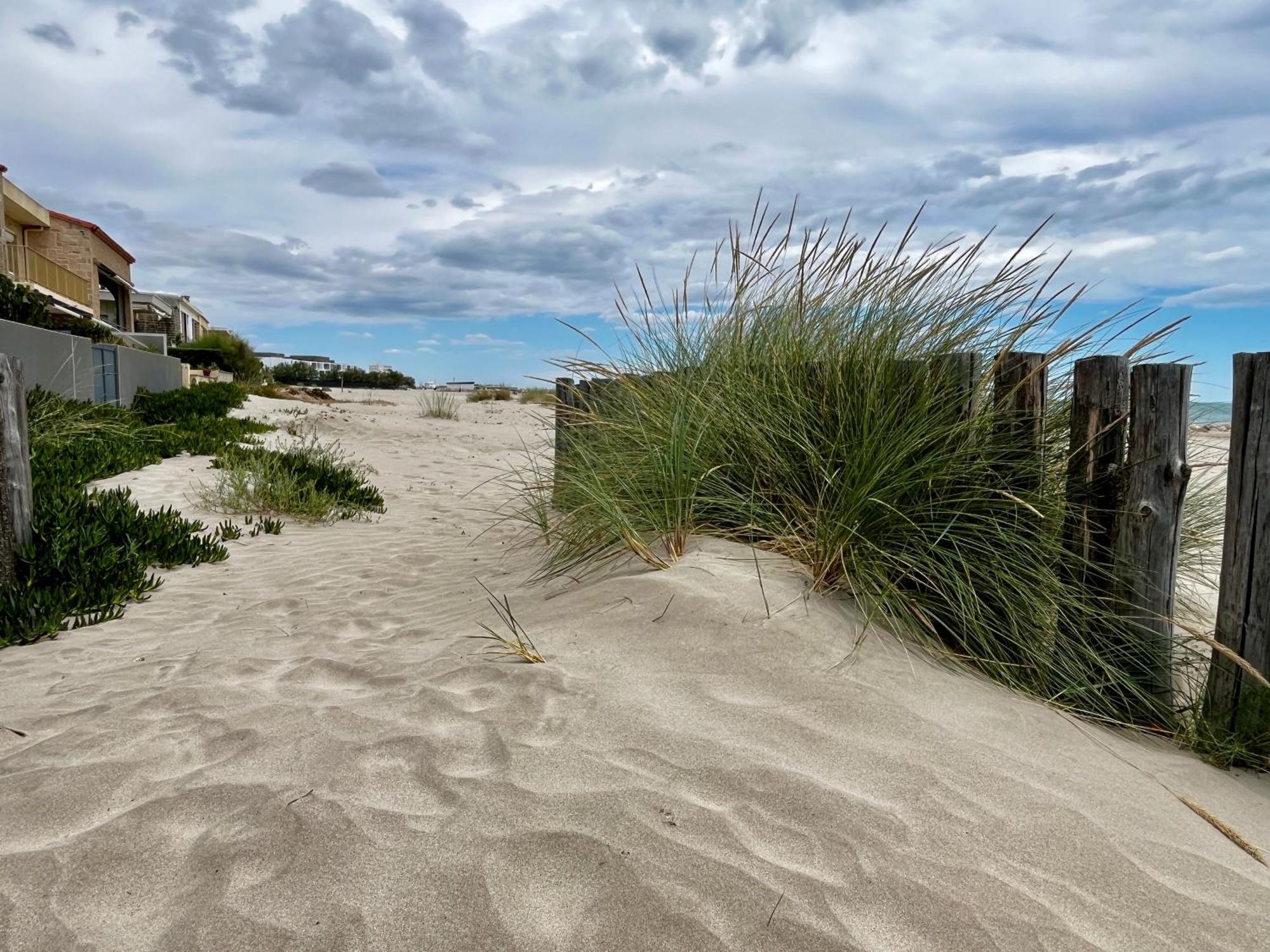 Les Sables De Palavas - T2 A 50M De La Plage - Clim, Wifi Exteriér fotografie